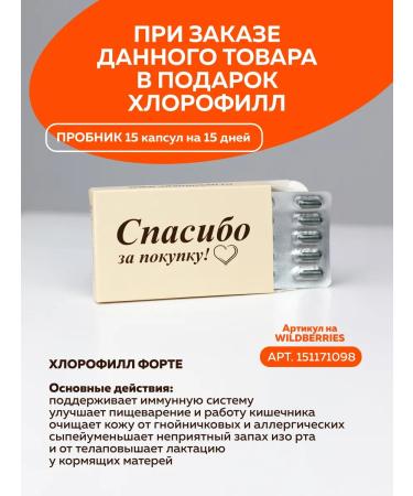 Santegra Probiotic for immunity lactobacteria Santera - Buy Online on GoSupps.com