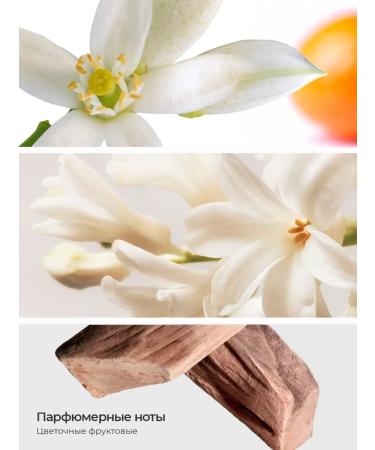 TNL PROFESSIONAL Perfumed hand and body cream (pink pepper and vanilla) - Buy Online on GoSupps.com