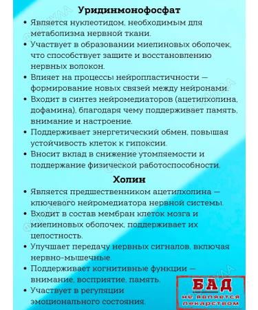 WTF Neurouuridine N Complex for the nervous system 20kaps*2UP - Buy Online on GoSupps.com