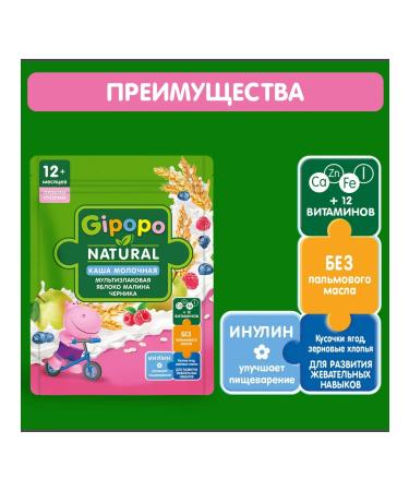 GIPOPO Multizlakaya porridge apple raspberries and blueberries 200 g 3pcs - Buy Online on GoSupps.com