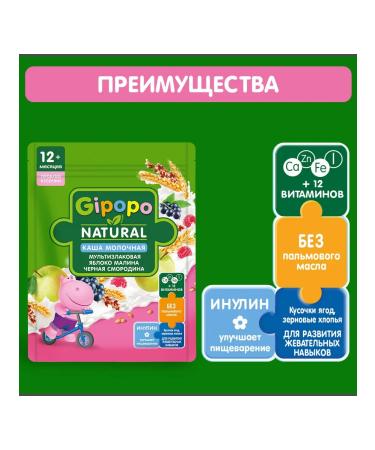 GIPOPO Porridge multi -haired apple raspberries black currants 200g 3pcs - Buy Online on GoSupps.com