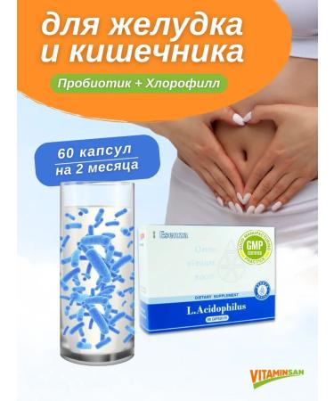 Santegra Probiotic and chlorophyll for the stomach and intestines Santera