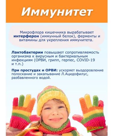 Santegra Probiotic lactobacilli for the stomach and intestines Santera - Buy Online on GoSupps.com