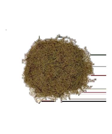 Southern herbalist Smooth hernia (grass)
