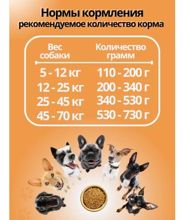 DILLY Dry food for active dogs 14 kg - Buy Online on GoSupps.com