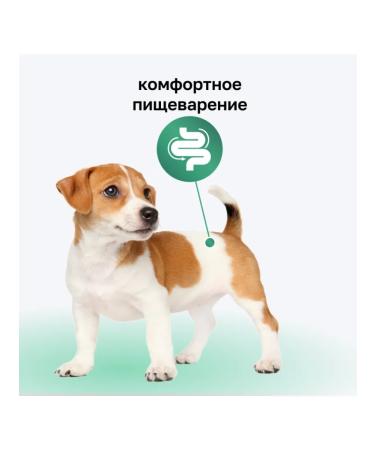 Organix Canned food for puppies with giblets 400g wet food - Buy Online on GoSupps.com