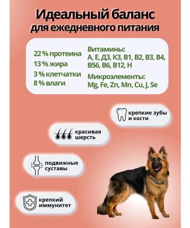 DILLY Dry food for dogs with a liver of 14 kg - Buy Online on GoSupps.com