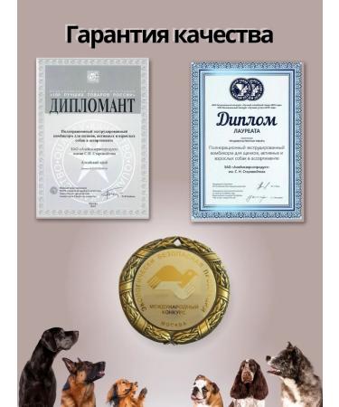 DILLY Dry food for dogs with turkey 14 kg - Buy Online on GoSupps.com