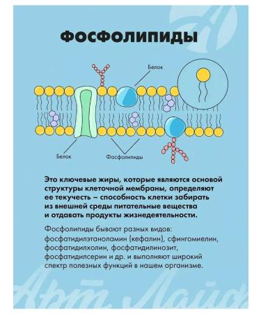 ArtLife Lecin-gel with vitamins - Buy Online on GoSupps.com