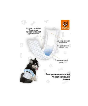 FOFOS Belt DCF18573 HOUSED for male S 19-37 12pcs - Buy Online on GoSupps.com