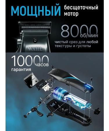 Wahl Vapor cutting machine Professional - Buy Online on GoSupps.com