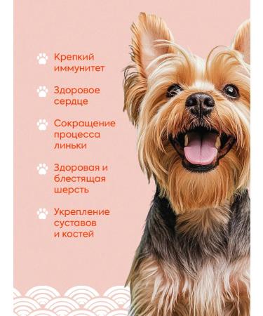 The Farm Salmon oil for dogs and cats 250 ml - Buy Online on GoSupps.com