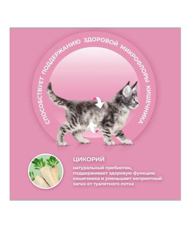 PURINA ONE Kittens for kittens dry Purina 750 g 2 pcs - Buy Online on GoSupps.com