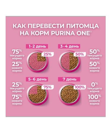 PURINA ONE Kittens for kittens dry Purina 750 g 2 pcs - Buy Online on GoSupps.com