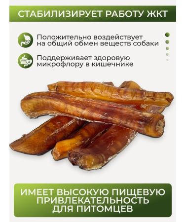 Favorite Bully root of treats for dogs 200g - Buy Online on GoSupps.com