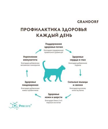Grandorf Feed for home cats four types of meat indoor 2 kg - Buy Online on GoSupps.com