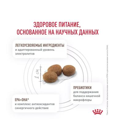 ROYAL CANIN Dry gastrointestinal low fat stern 1 kg - Buy Online on GoSupps.com