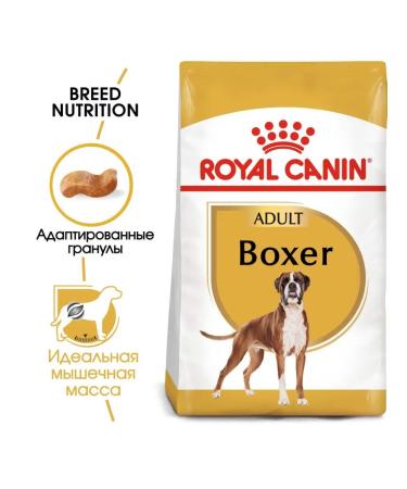 ROYAL CANIN Boxer Adult for dogs of the boxer breed from 1 year 12 kg - Buy Online on GoSupps.com