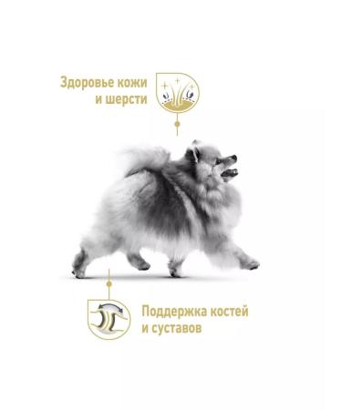 ROYAL CANIN Pomeranian Adult food for adult Pomeranian Spitz 1.5kg - Buy Online on GoSupps.com