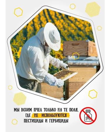 Honey of the Mamdeev family Honey white acacia 2 kg - Buy Online on GoSupps.com