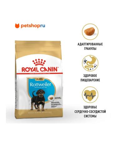 ROYAL CANIN Feed for Rottweiler's puppies from 2 months. Rottweiler Puppy 12 kg