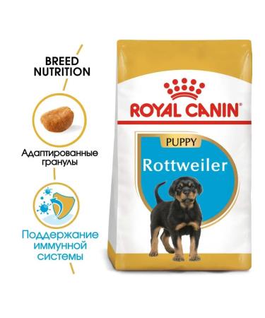 ROYAL CANIN Feed for Rottweiler's puppies from 2 months. Rottweiler Puppy 12 kg - Buy Online on GoSupps.com