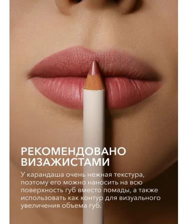 Shik Lip pencil persistent monza pink nude - Buy Online on GoSupps.com