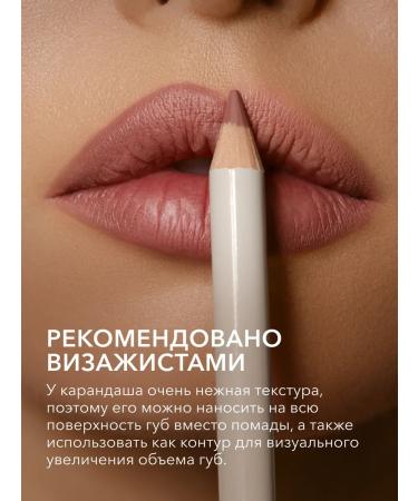 Shik Lip pencil Persistent Florence pink nude - Buy Online on GoSupps.com