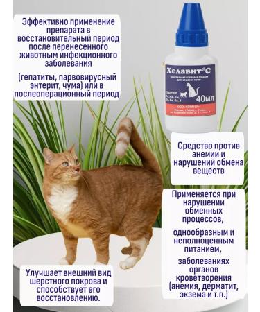 Helavit Vitamins for cats and kittens from the loss of wool 40ml 2 pcs - Buy Online on GoSupps.com