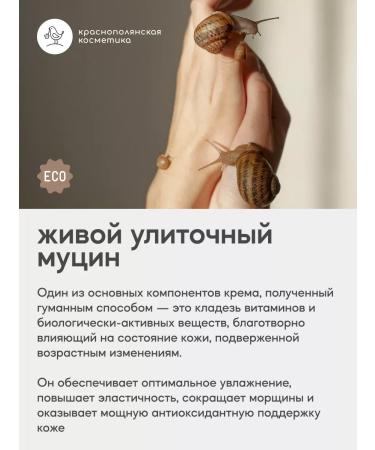 KRASNOPOLYANSKAYA COSMETICS Set of mucin for skin health No. 3 - Buy Online on GoSupps.com