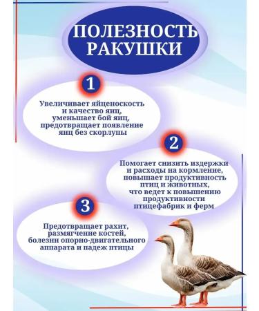 SMARTMEAL Shell for chickens shallow aft for birds chickens top dressing - Buy Online on GoSupps.com