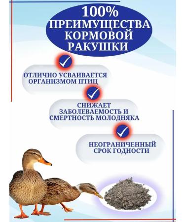 SMARTMEAL Shell for chickens shallow aft for birds chickens top dressing - Buy Online on GoSupps.com