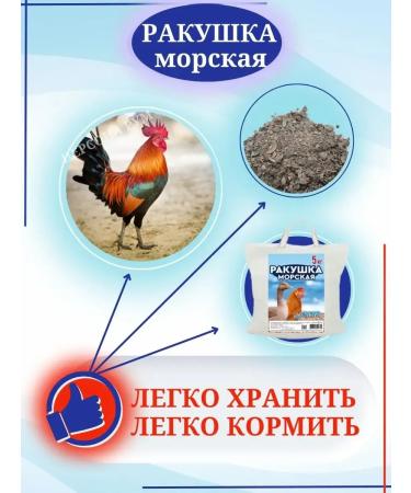 SMARTMEAL Shell for chickens shallow aft for birds chickens top dressing - Buy Online on GoSupps.com