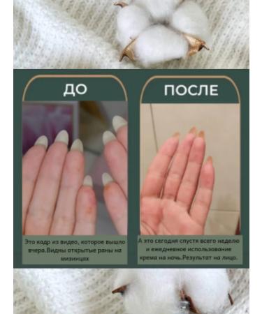 FLORGANICA Cream for hands and cuticles - Buy Online on GoSupps.com