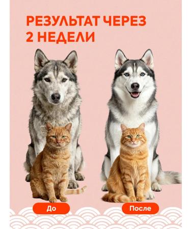 The Farm Salmon oil for dogs and cats 500 ml - Buy Online on GoSupps.com