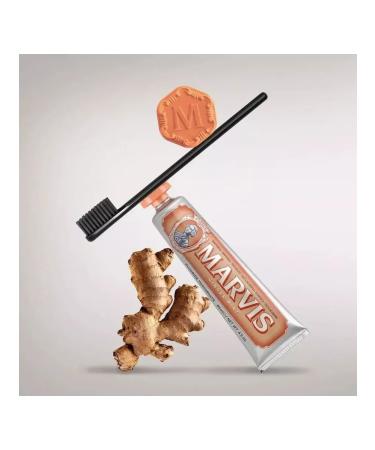 GINGER MINT TOOTHPASTE 85ML tooth - Buy Online on GoSupps.com