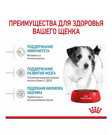 ROYAL CANIN Dry Mini Puppy food for small puppies 2-10 months 4 kg - Buy Online on GoSupps.com