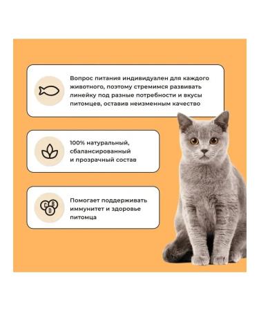 BOWL WOW Dry food for cats with senses. food. with turkey and pumpkin 400g - Buy Online on GoSupps.com