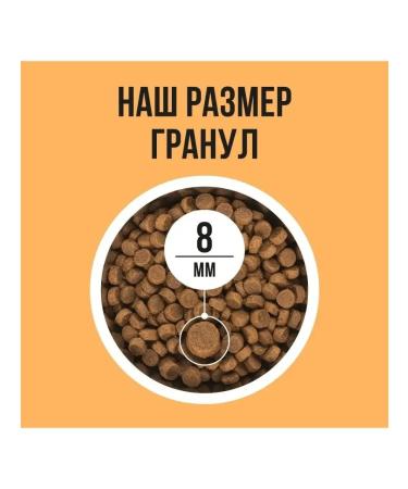 BOWL WOW Dry food for cats with senses. food. with turkey and pumpkin 400g - Buy Online on GoSupps.com