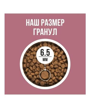 BOWL WOW Dry food for sterilis-x cats with turkey and beets 8kg - Buy Online on GoSupps.com