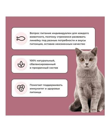 BOWL WOW Dry food for sterilis-x cats with turkey and beets 1.5kg - Buy Online on GoSupps.com