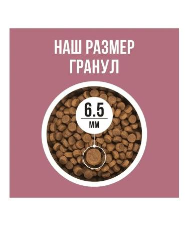 BOWL WOW Dry food for sterilis-x cats with turkey and beets 1.5kg - Buy Online on GoSupps.com