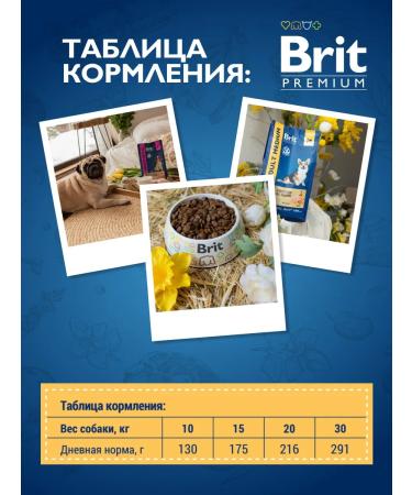 Brit Feed with turkey and veal for dogs. rocks 3 kg - Buy Online on GoSupps.com