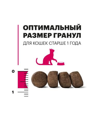 KARMY adult cat food with veal 10 kg - Buy Online on GoSupps.com