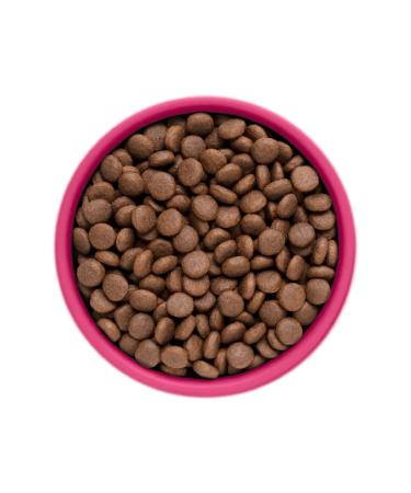 KARMY adult cat food with veal 10 kg - Buy Online on GoSupps.com