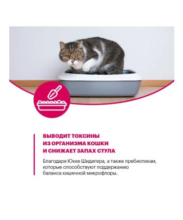 KARMY adult cat food with veal 10 kg - Buy Online on GoSupps.com
