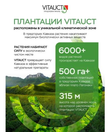 VITAUCT Balm Golden constellation Vitauk from a cold - Buy Online on GoSupps.com