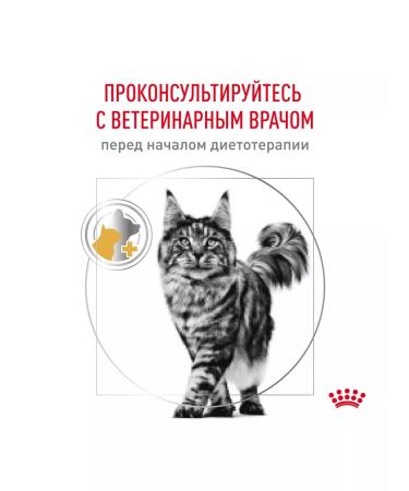 ROYAL CANIN Cat food for urolithiasis Urinary S o 3.5kg - Buy Online on GoSupps.com