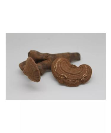 Altai taiga health resort 50 gr. Reishi mushroom antitumor - Buy Online on GoSupps.com