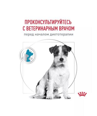 ROYAL CANIN Hypoallergenic feed for small dogs food allergies 3.5 kg - Buy Online on GoSupps.com